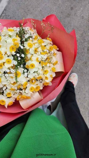 عکس گل نرگس برای پروفایل ایتا
