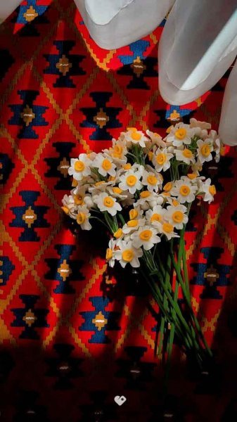 عکس گل نرگس برای پروفایل ایتا