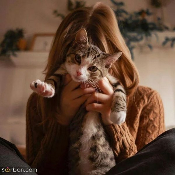  عکس های لاکچری ترند امسال