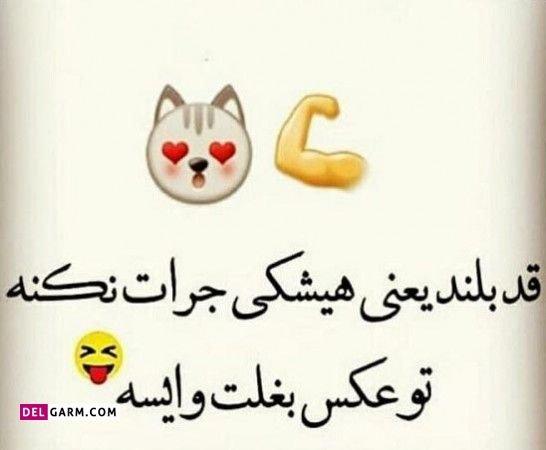  عکس تبریک روز قد بلندها برای استوری