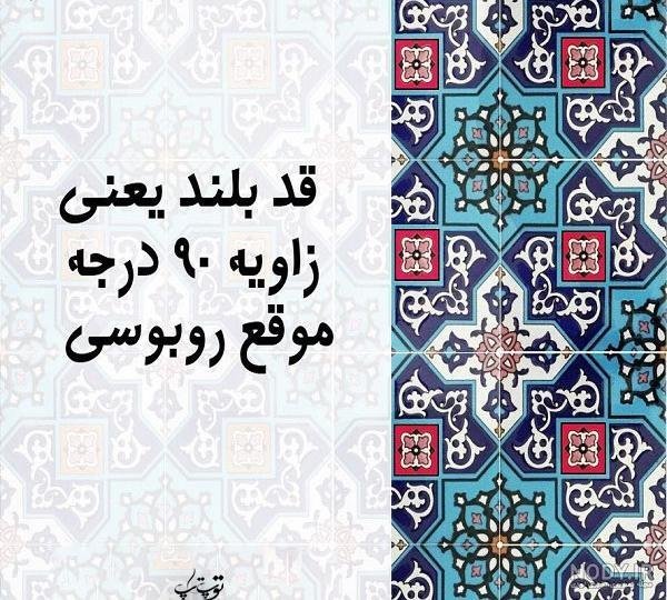  دانلود عکس پروفایل روز جهانی قد بلندها