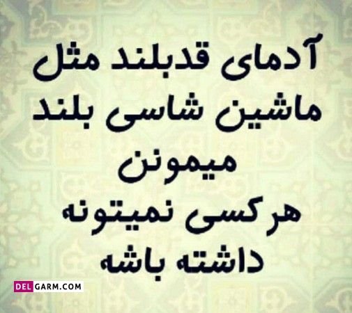 دانلود عکس پروفایل روز جهانی قد بلندها