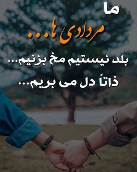  عکس مرداد ماهی