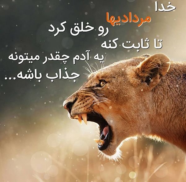  عکس مرداد ماهی