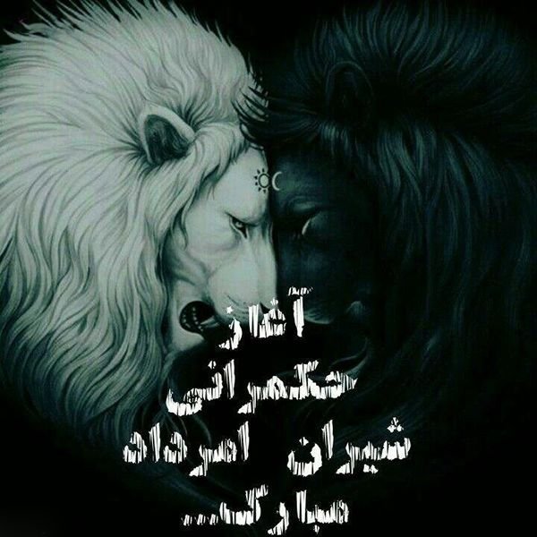  عکس مرداد ماهی
