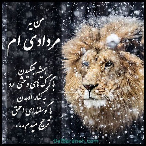 عکس پروفایل مرداد ماهی