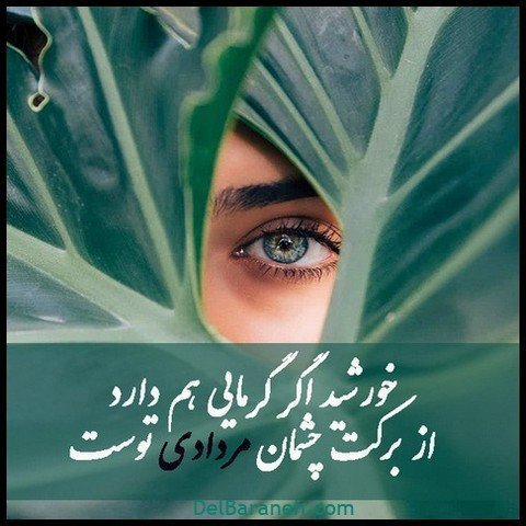 عکس پروفایل مرداد ماهی