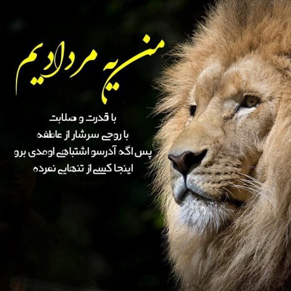  عکس تولد مرداد ماهی پسرونه