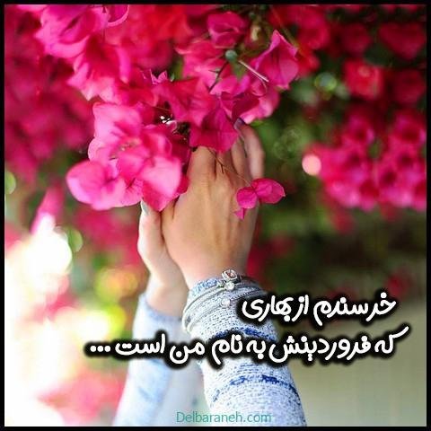  عکس فروردین ماه