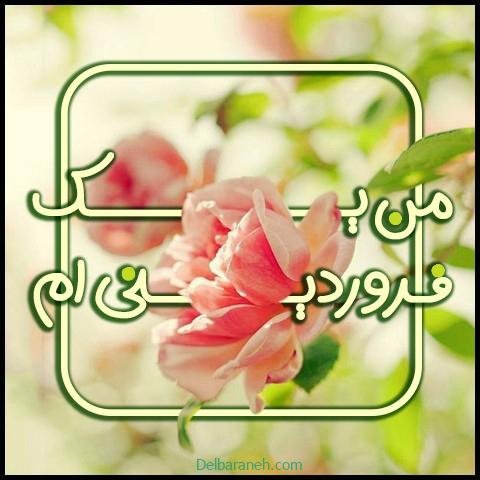  عکس فروردین ماه