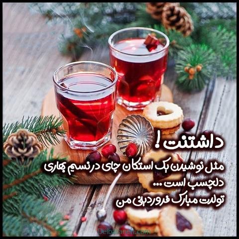  استوری تولد فروردین ماهی