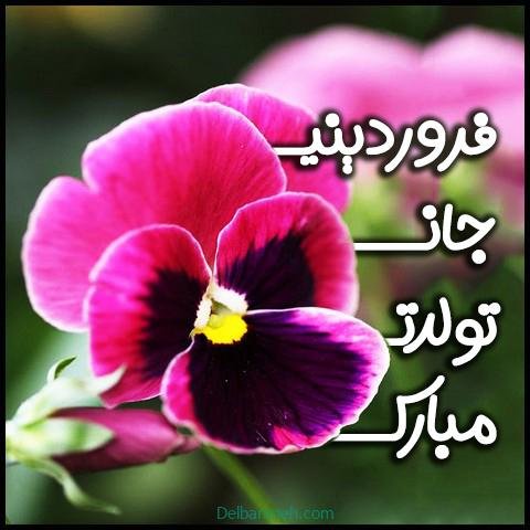  استوری تولد فروردین ماهی