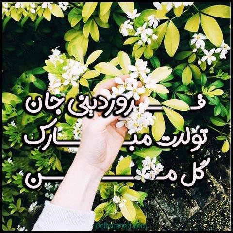  استوری تولد فروردین ماهی