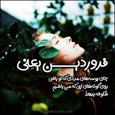  استوری تولد فروردین ماهی