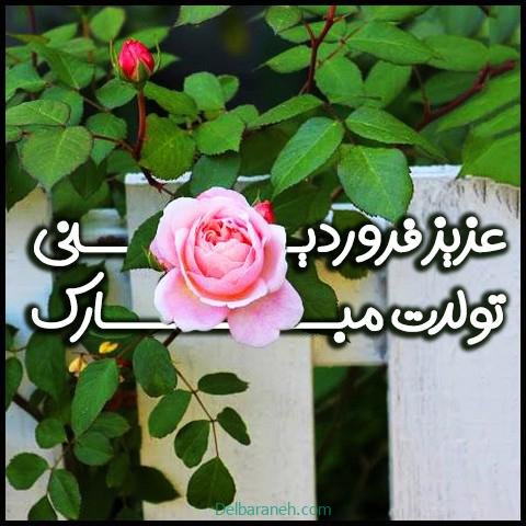  عکس تولد همسر فروردین ماهی