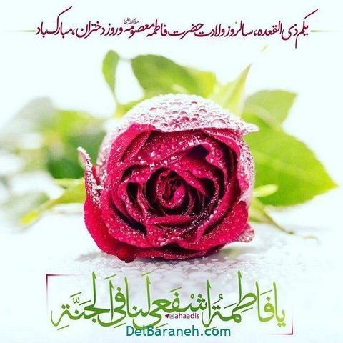 پروفایل حضرت معصومه