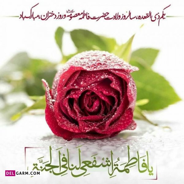 عکس ولادت حضرت معصومه