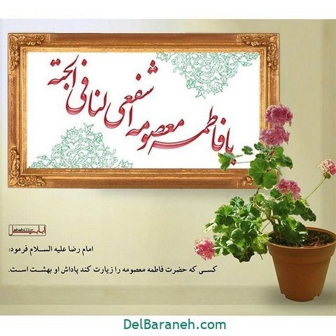عکس حرم حضرت معصومه برای استوری