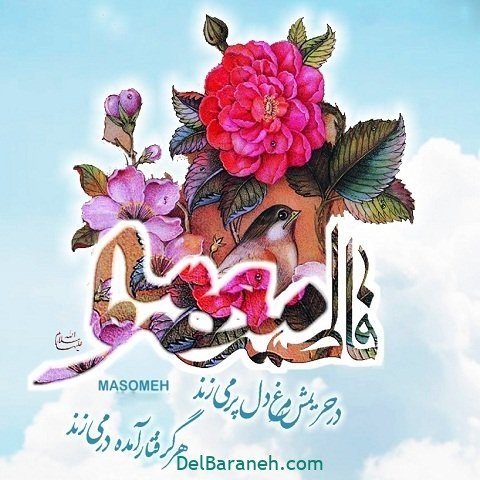 عکس حرم حضرت معصومه برای استوری