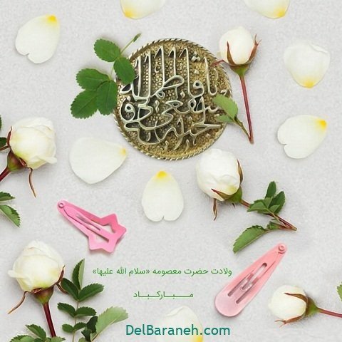 عکس حرم حضرت معصومه برای استوری