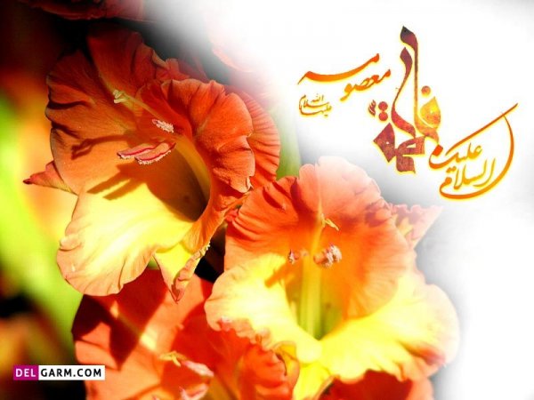  عکس نوشته حضرت معصومه