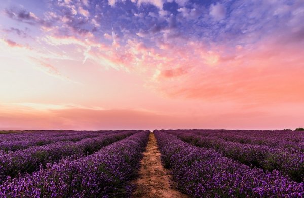  دانلود والپیپر 4k متحرک برای کامپیوتر