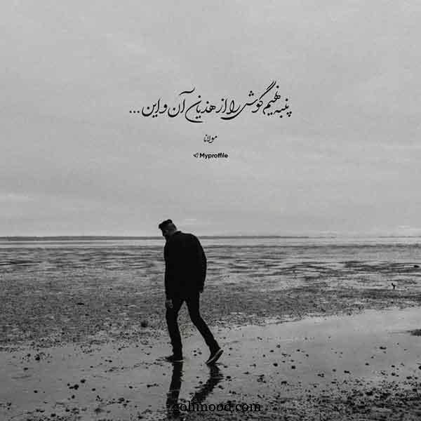 پروف پسرونه گنگ