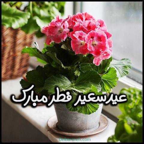  دانلود عکس پروفایل عید فطر مبارک