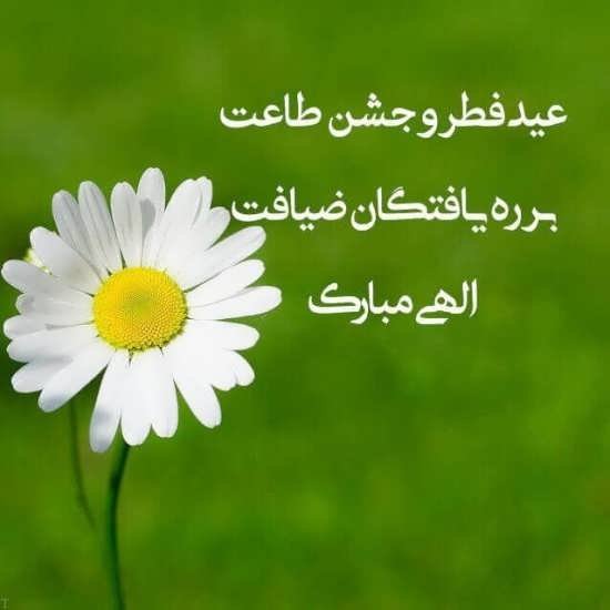 عکس عید مبارک