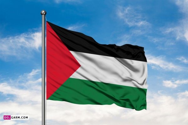  عکس پرچم فلسطین برای پروفایل