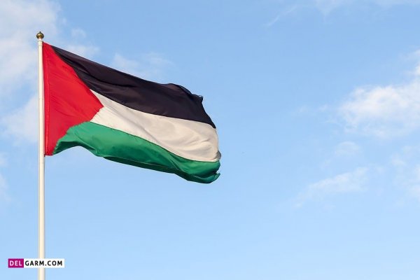  عکس پرچم فلسطین برای پروفایل