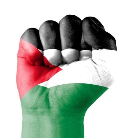  عکس فلسطین زیبا