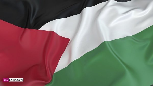 عکس فلسطین برای پروفایل