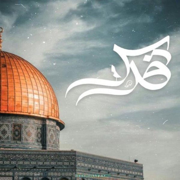 عکس استوری روز قدس