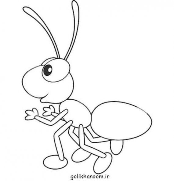  عکس نقاشی مورچه