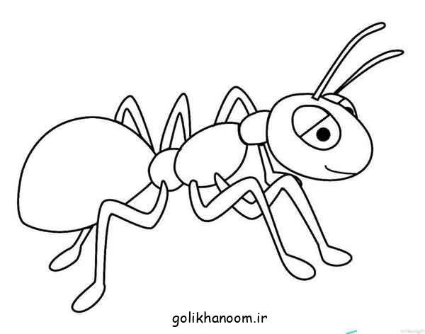  عکس نقاشی مورچه