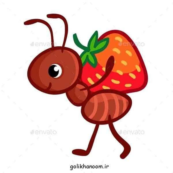  عکس نقاشی مورچه