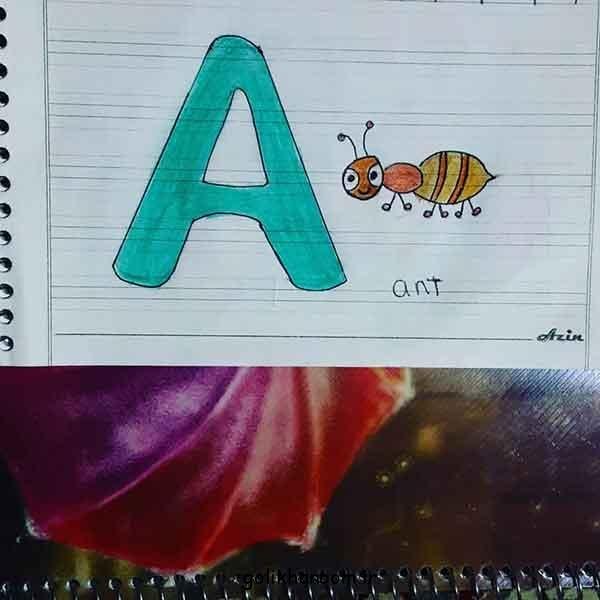  عکس نقاشی مورچه