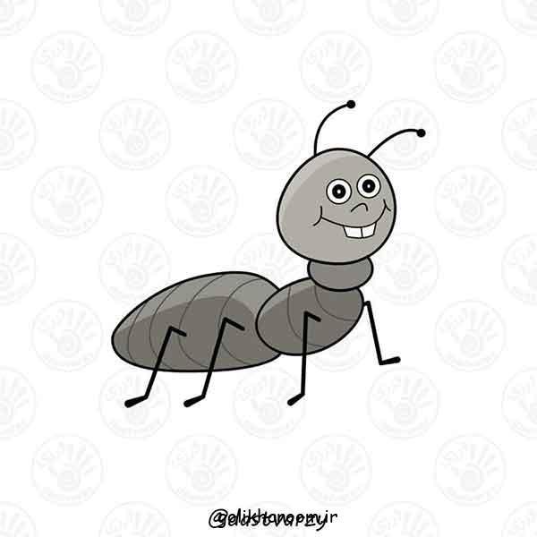 عکس نقاشی مورچه