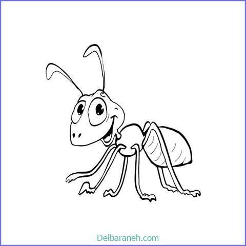  عکس نقاشی مورچه واقعی
