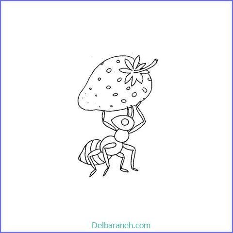  عکس نقاشی مورچه واقعی