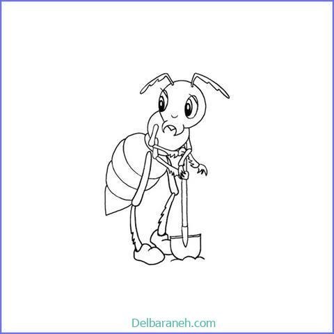  عکس نقاشی مورچه واقعی