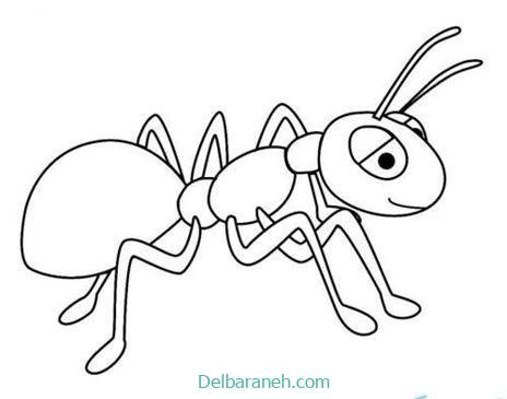  عکس نقاشی مورچه واقعی