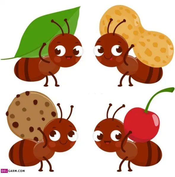  نقاشی مورچه فانتزی
