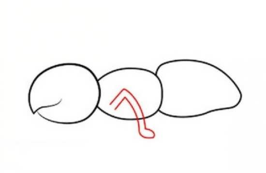 نقاشی مورچه ایستاده