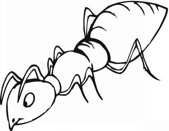نقاشی مورچه ایستاده
