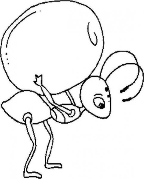 نقاشی مورچه ایستاده