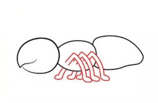 نقاشی مورچه ایستاده