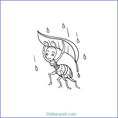  نقاشی مورچه کیوت
