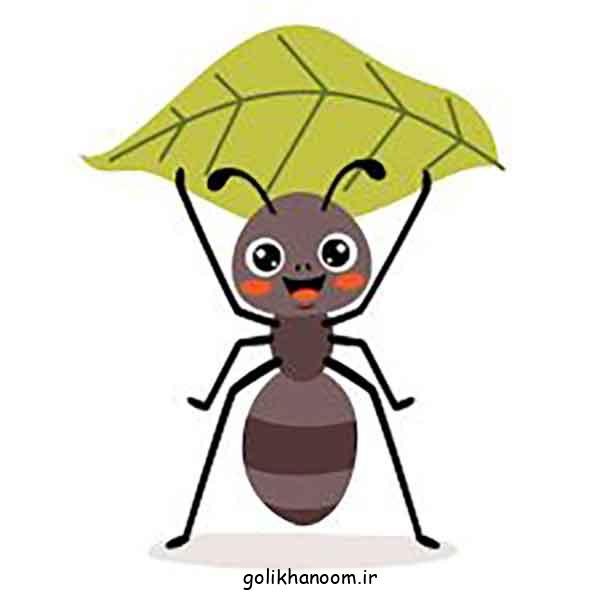  نقاشی مورچه کیوت